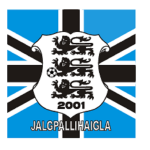 Jalgpallihaigla